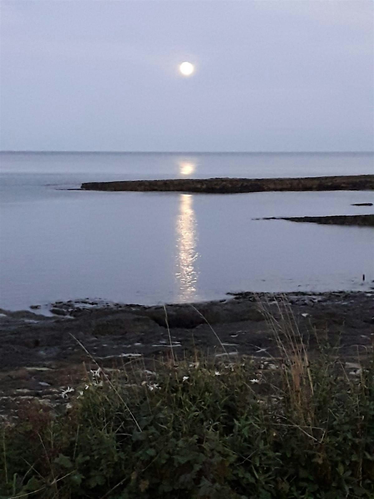 Death Circle, 30 November | Event in Armthorpe | AllEvents