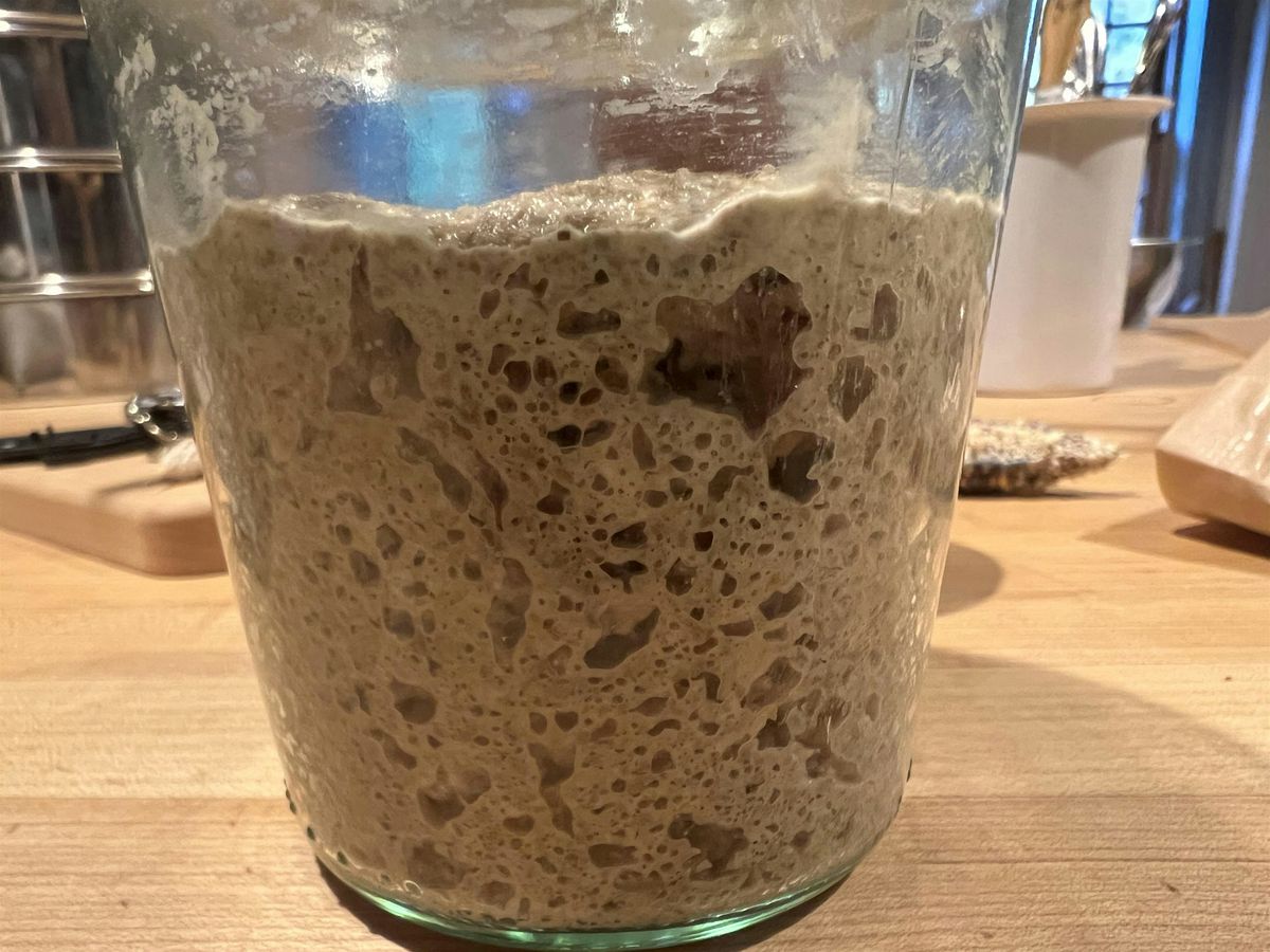 Special Workshop: Sourdough Baking Intensive - Advanced level, 31 August | Event in Fairfax | AllEvents