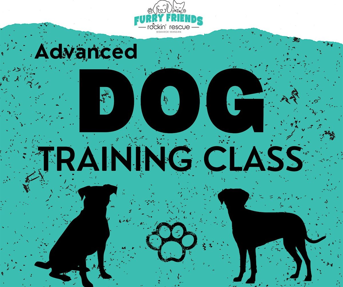 Advanced Dog Training, 28 June | Event in Bismarck | AllEvents