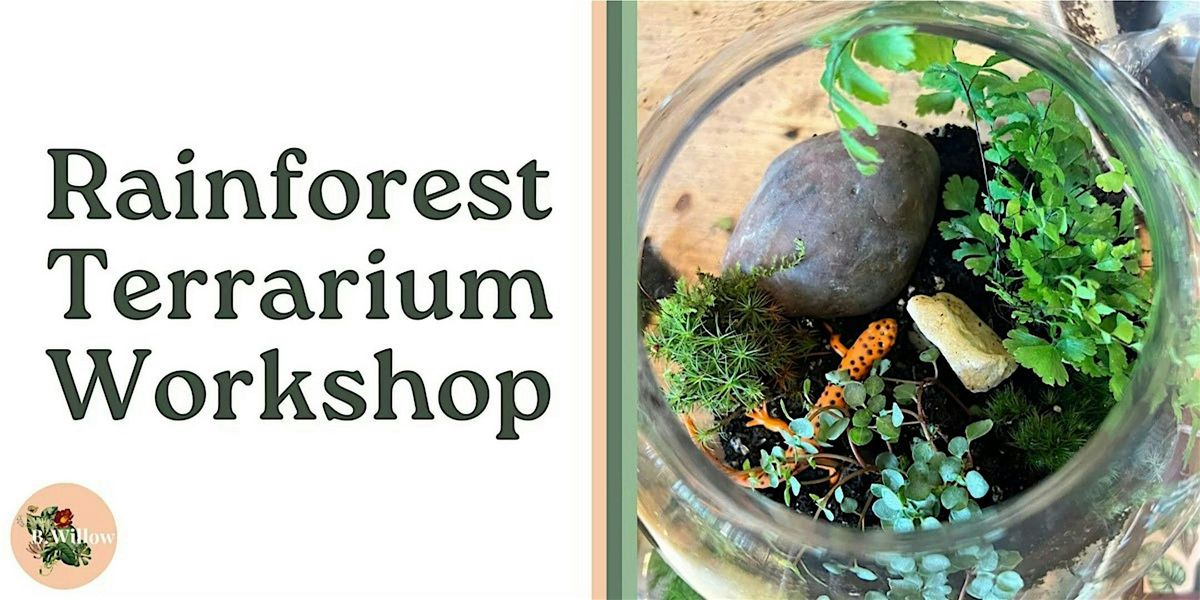 Rainforest Terrarium Workshop, 30 July | Event in Baltimore | AllEvents