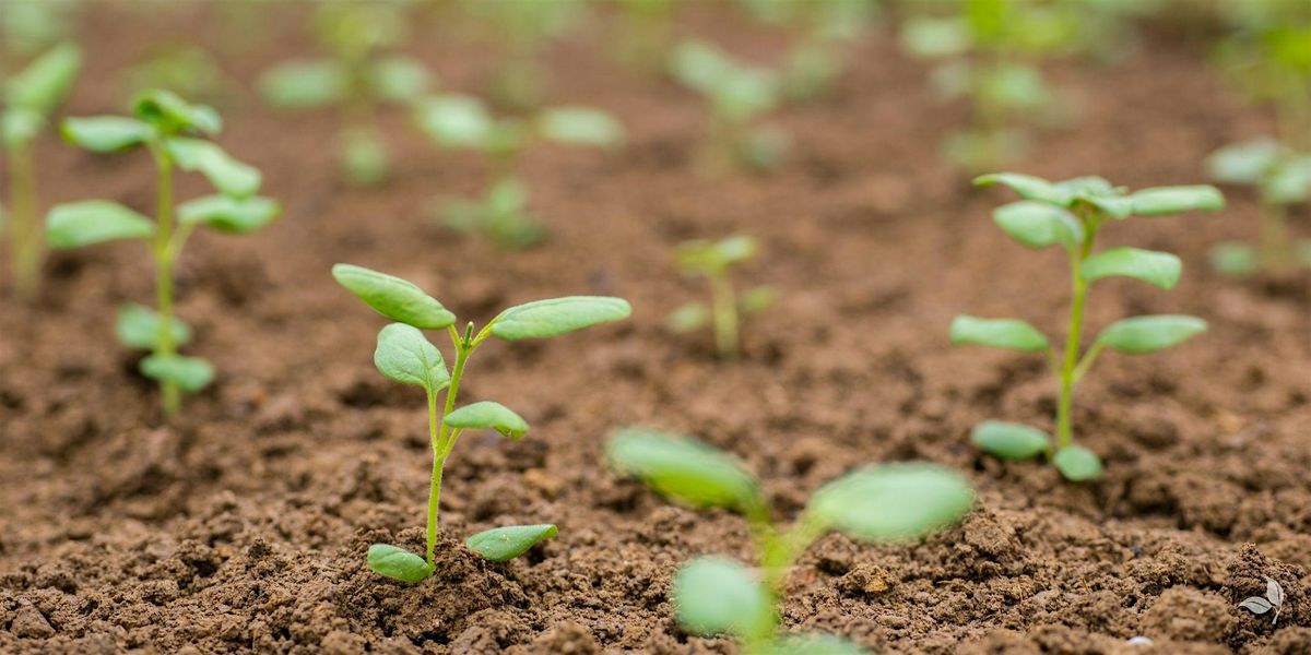 Seed Starting Lecture, 21 February | Event in Glenside | AllEvents