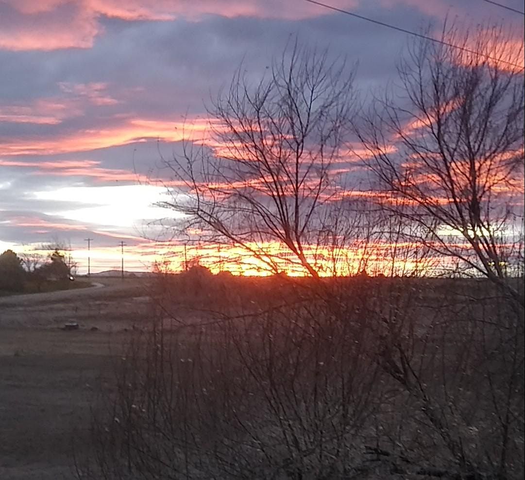 Summer Solstice Masquerade Ball, The Grove Hotel, Boise ...
