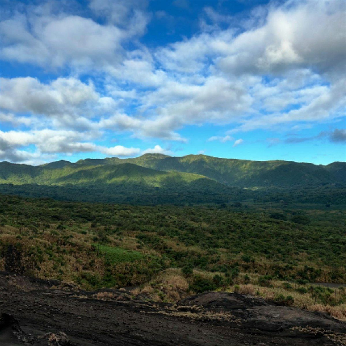 CPD27 Compassion-Focused Psychedelic Therapy Training: Experiential Clinica, 20 March | Event in Upper Brookfield