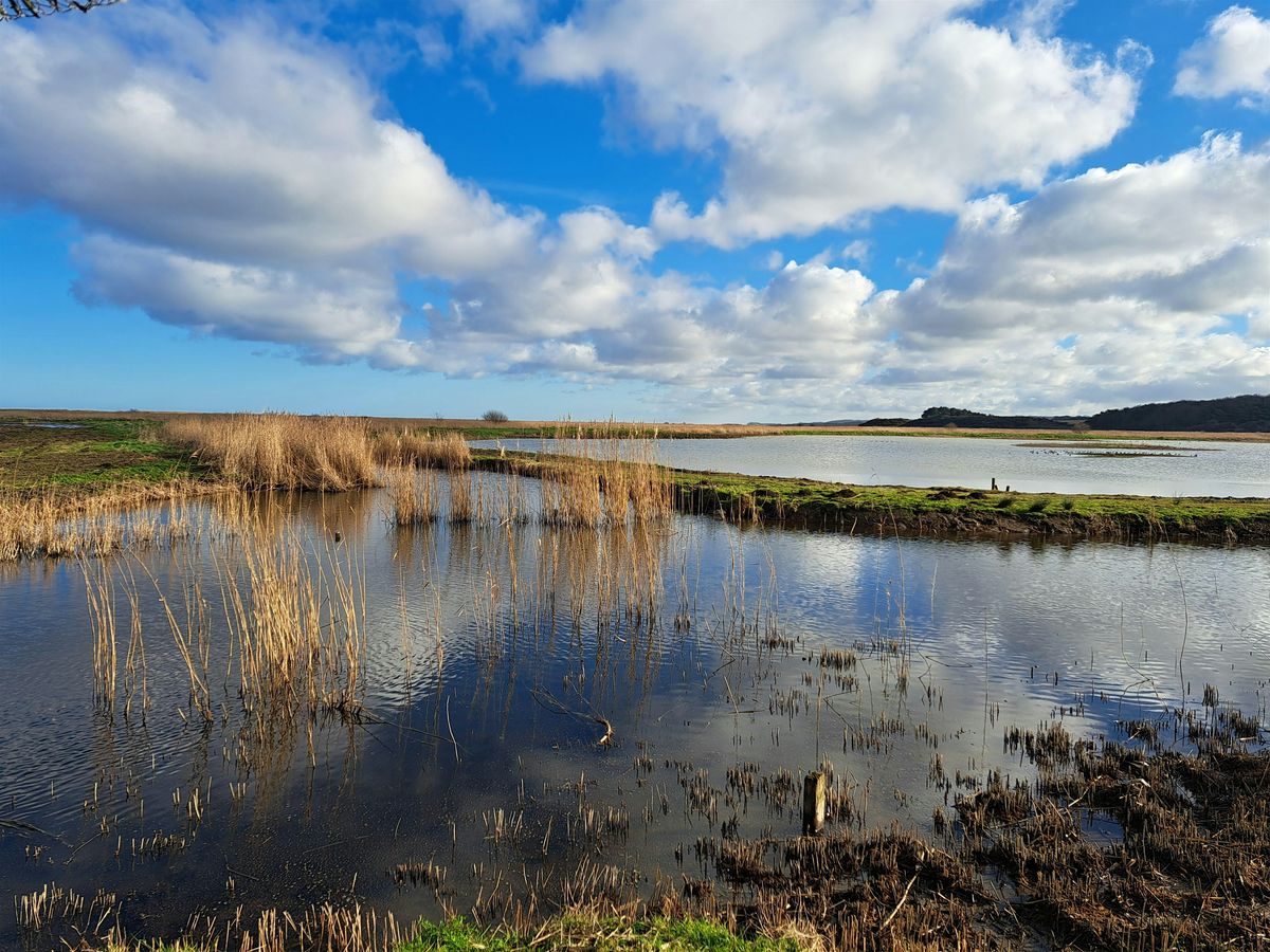 Creative writing outside - performance, 13 December | Event in Cley next the Sea | AllEvents