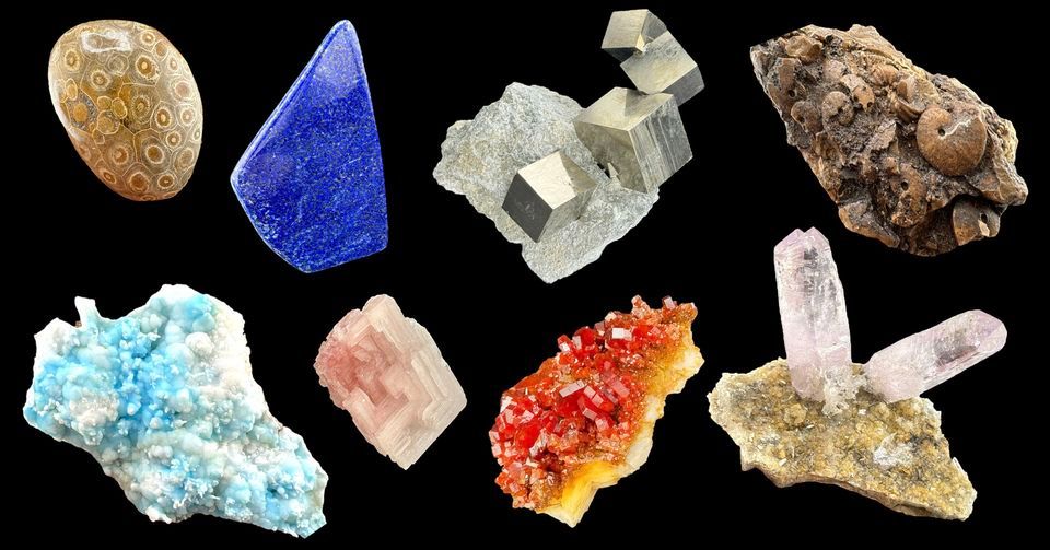 February Mineral February Gem & Mineral Extravaganza: Discover Fossils & More!, Cobble ...