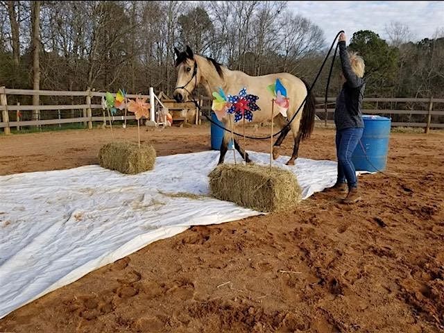 Confidence Through Curiosity (Desensitizing/Bomb Proofing Clinic), 13 December | Event in Canton | AllEvents