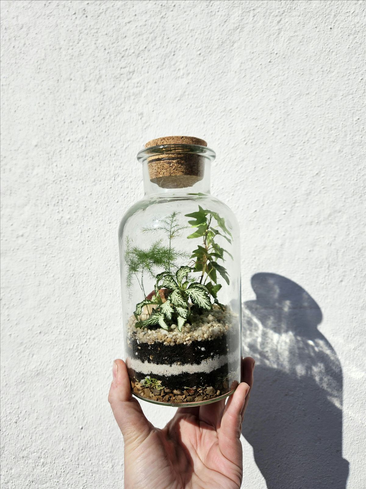 Mother’s Day Special Small Closed Terrarium Workshop, 15 March | Event in Brighton and Hove | AllEvents