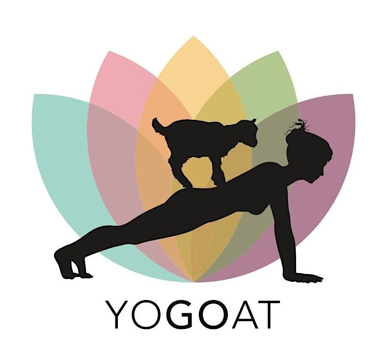 Goat Yoga at Aces, 11 October | Event in Norwood | AllEvents