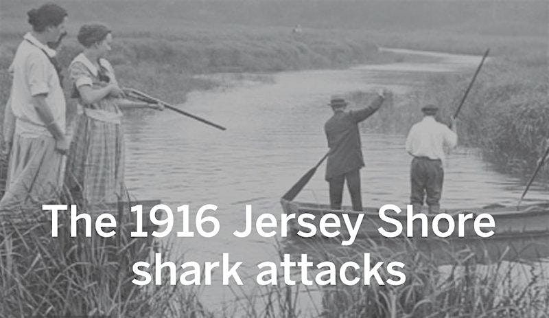 Unraveling the 1916 NJ Shark Attacks events from a Shark’s Point of View, 30 July | Event in Redd Bank | AllEvents