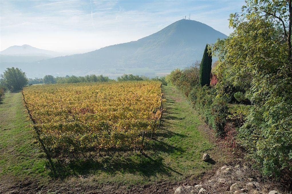 Wine Dinner with Vignalta, 12 November | Event in Los Angeles | AllEvents