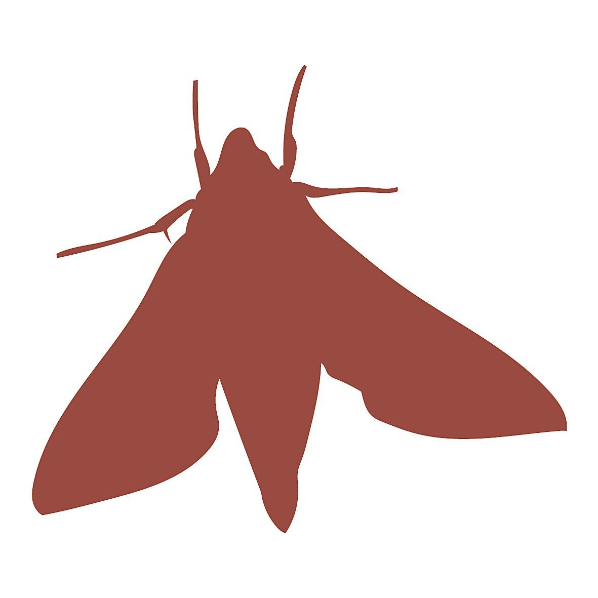 Moth Breakfast, 14 September | Event in Cholsey | AllEvents
