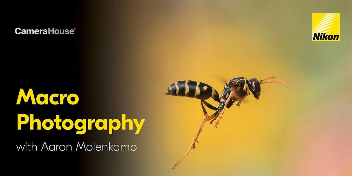 Macro Photography with Aaron Molenkamp, 8 November | Event in Castle Hill | AllEvents