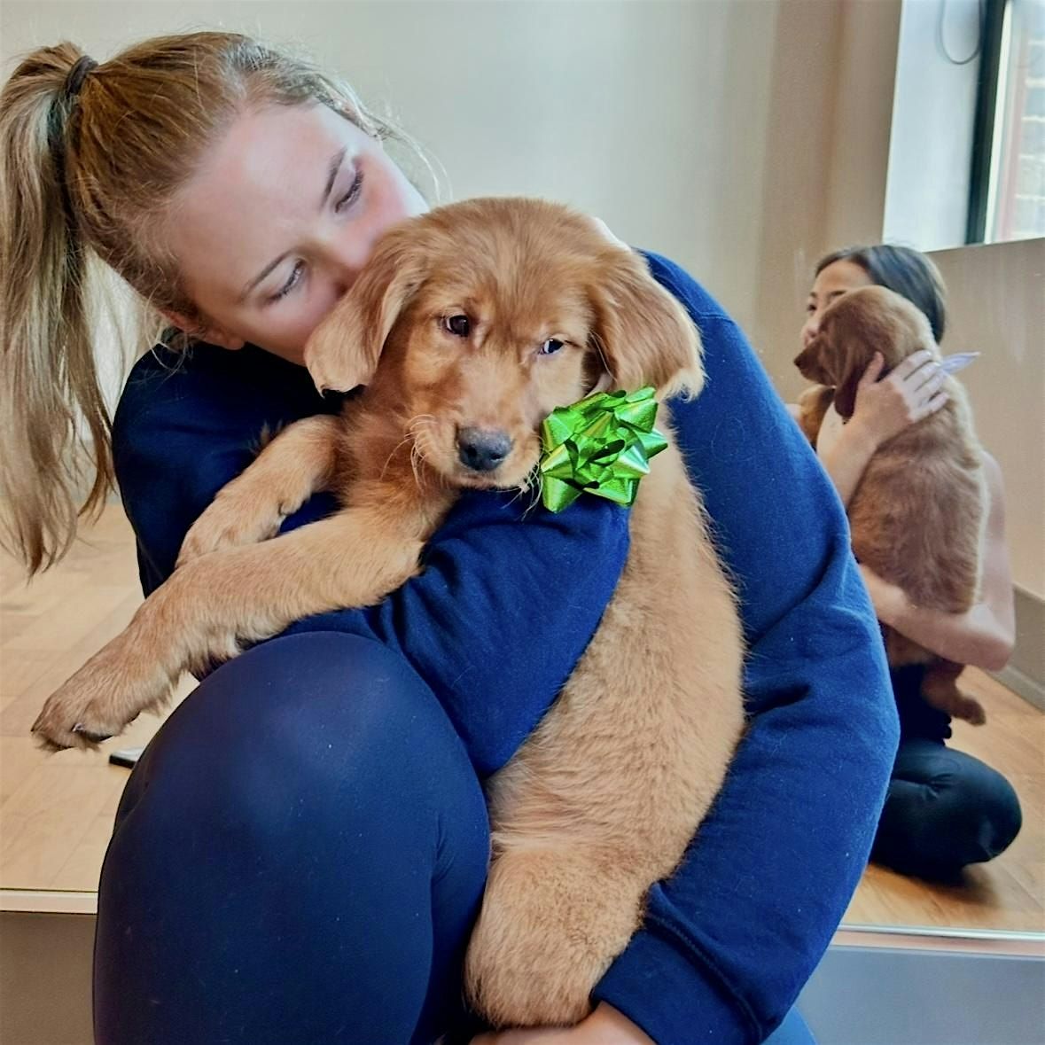 Puppy Yoga USA  - Brooklyn, NY, 14 December | Event in Brooklyn | AllEvents