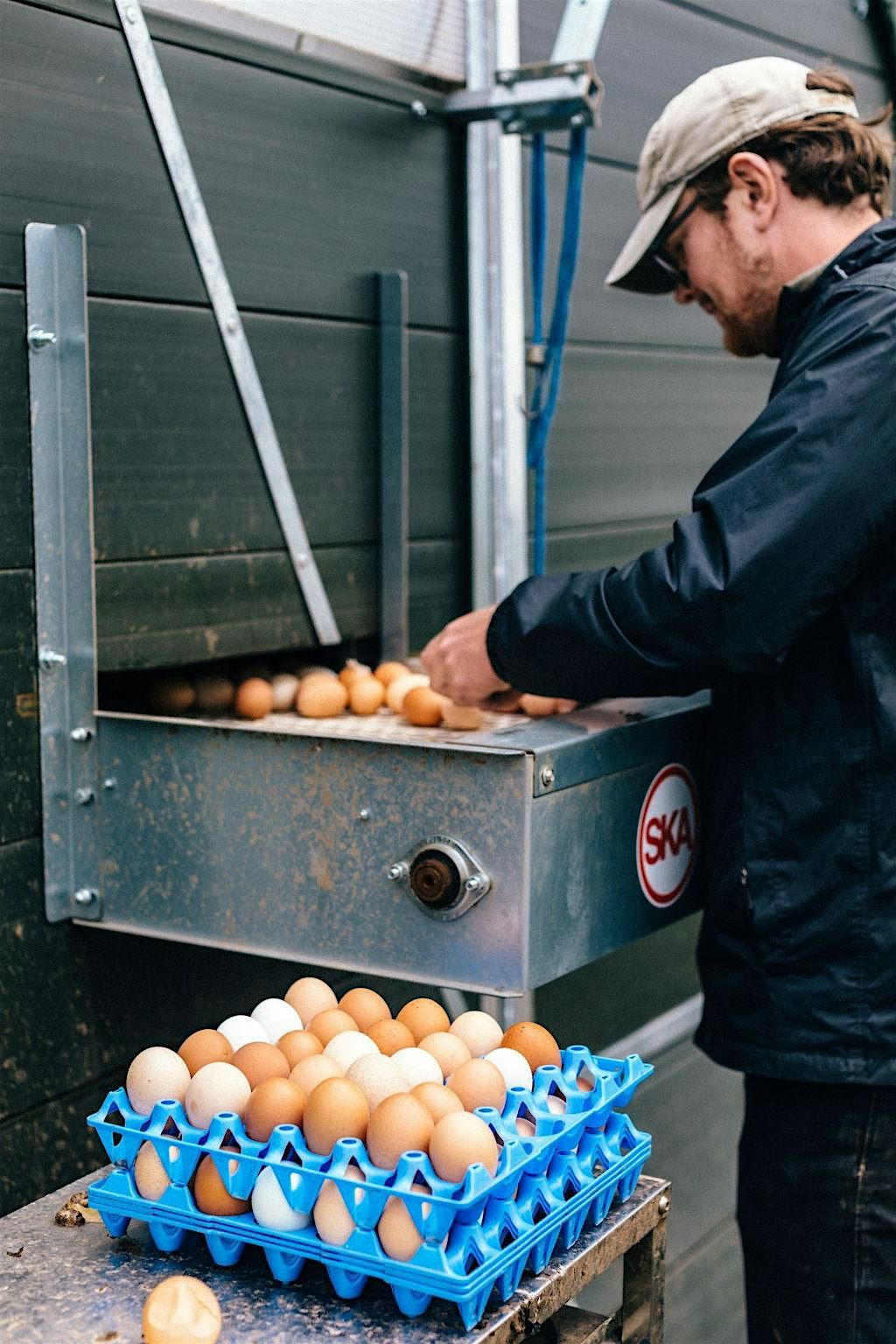 Pastured Poultry - Practical morning, 14 August | Event in Ludlow | AllEvents