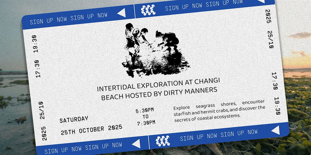 Intertidal Exploration at Changi Beach with Dirty Manners, 25 October | Event in Tampines | AllEvents