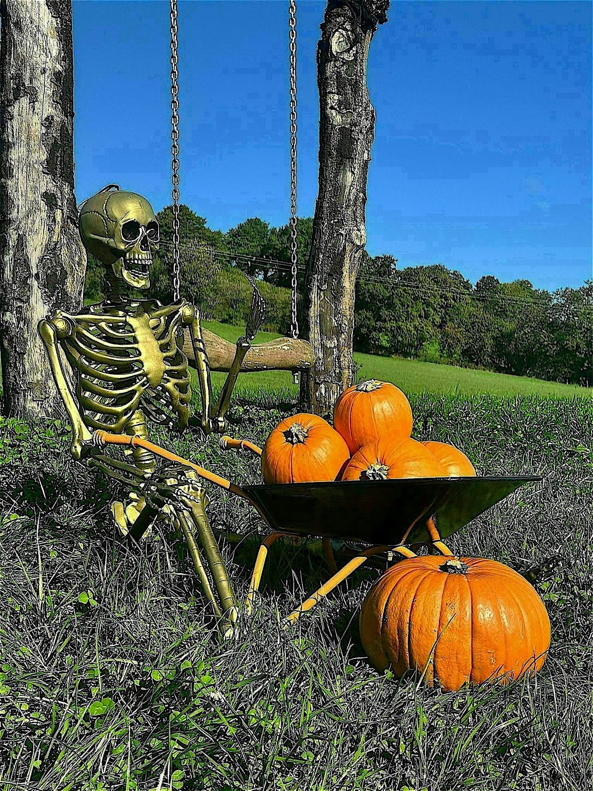 Pumpkin event  @ Ty poeth farm | Event in Pontypool | AllEvents