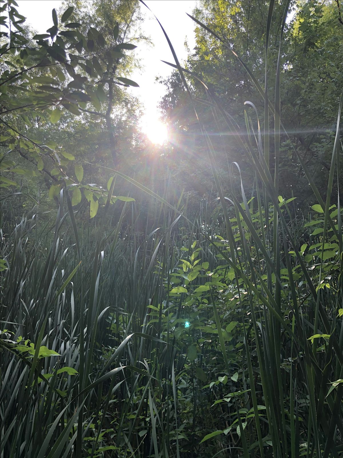 Consciousness & Creativity, 29 July | Event in Kirtland | AllEvents