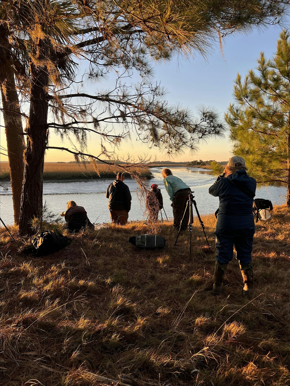 Creative  4-day, 3-night retreat on Ossabaw Island, 19 February | Event in Ossabaw Island | AllEvents