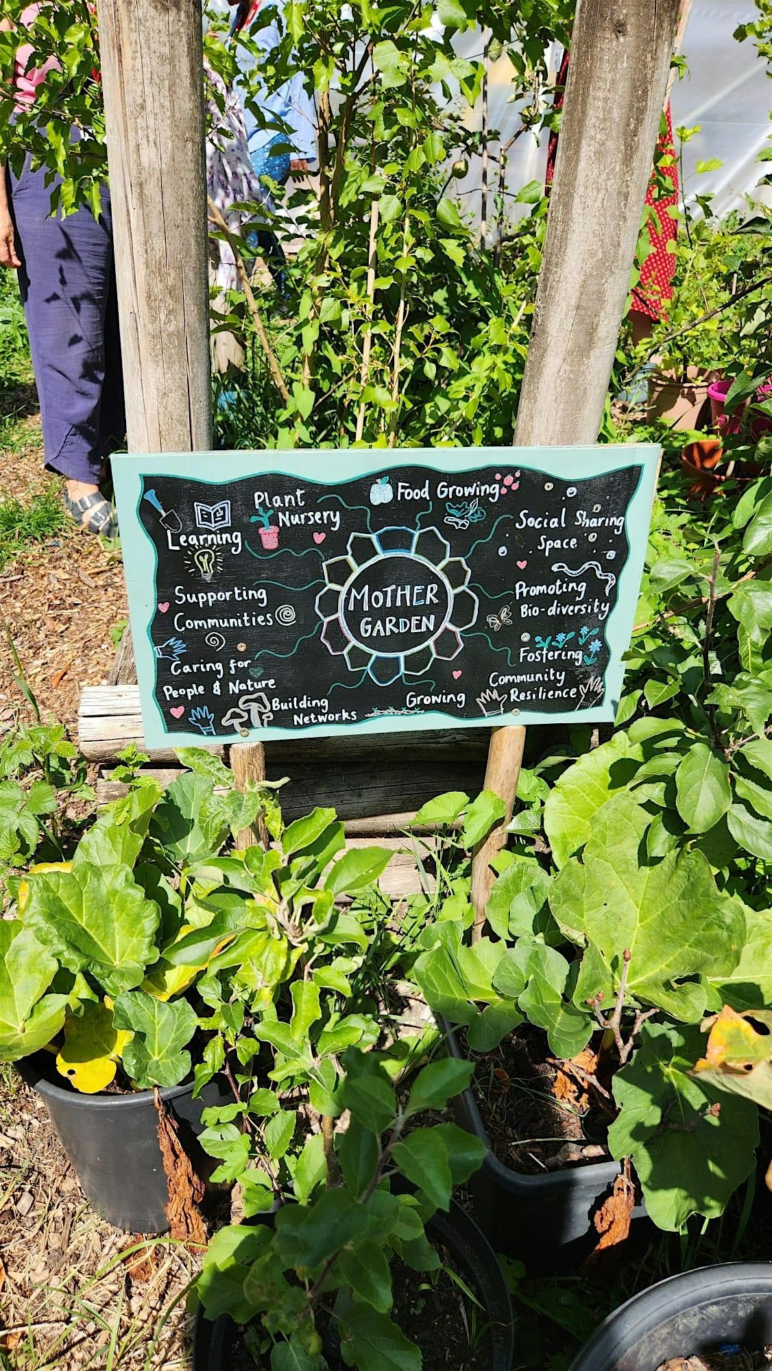 An Introduction to the Mother Garden model, 9 January | Event in Brierley Hill | AllEvents