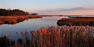 Blackwater Public Paddle - 2025 - Sultana Education Foundation, 27 September | Event in Cambridge | AllEvents