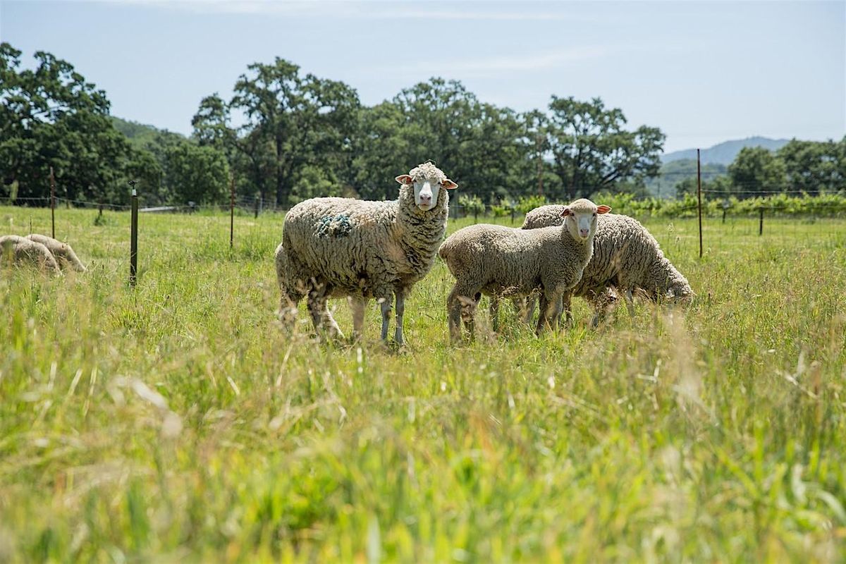 Beyond the Burn: Grazing for Fire Smart Lands, 21 June | Event in Hopland | AllEvents