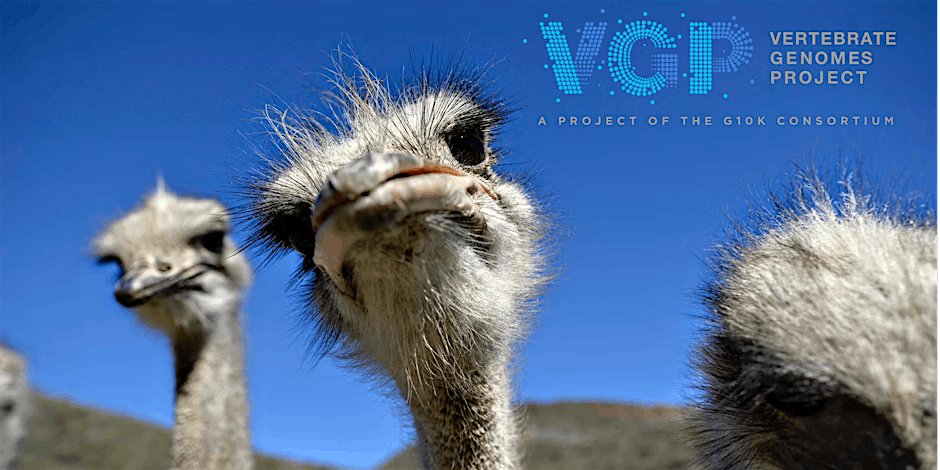 Vertebrate Genomes Project (VGP) In-Person Conference 2025, 30 September | Event in New York | AllEvents