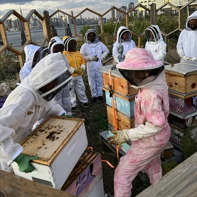 island Bee Project logo