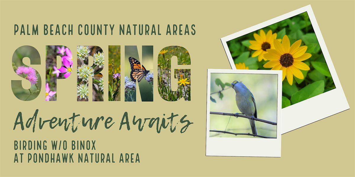 Adventure Awaits - Birding w/o Binox at Pondhawk Natural Area, 17 May | Event in Boca Raton | AllEvents