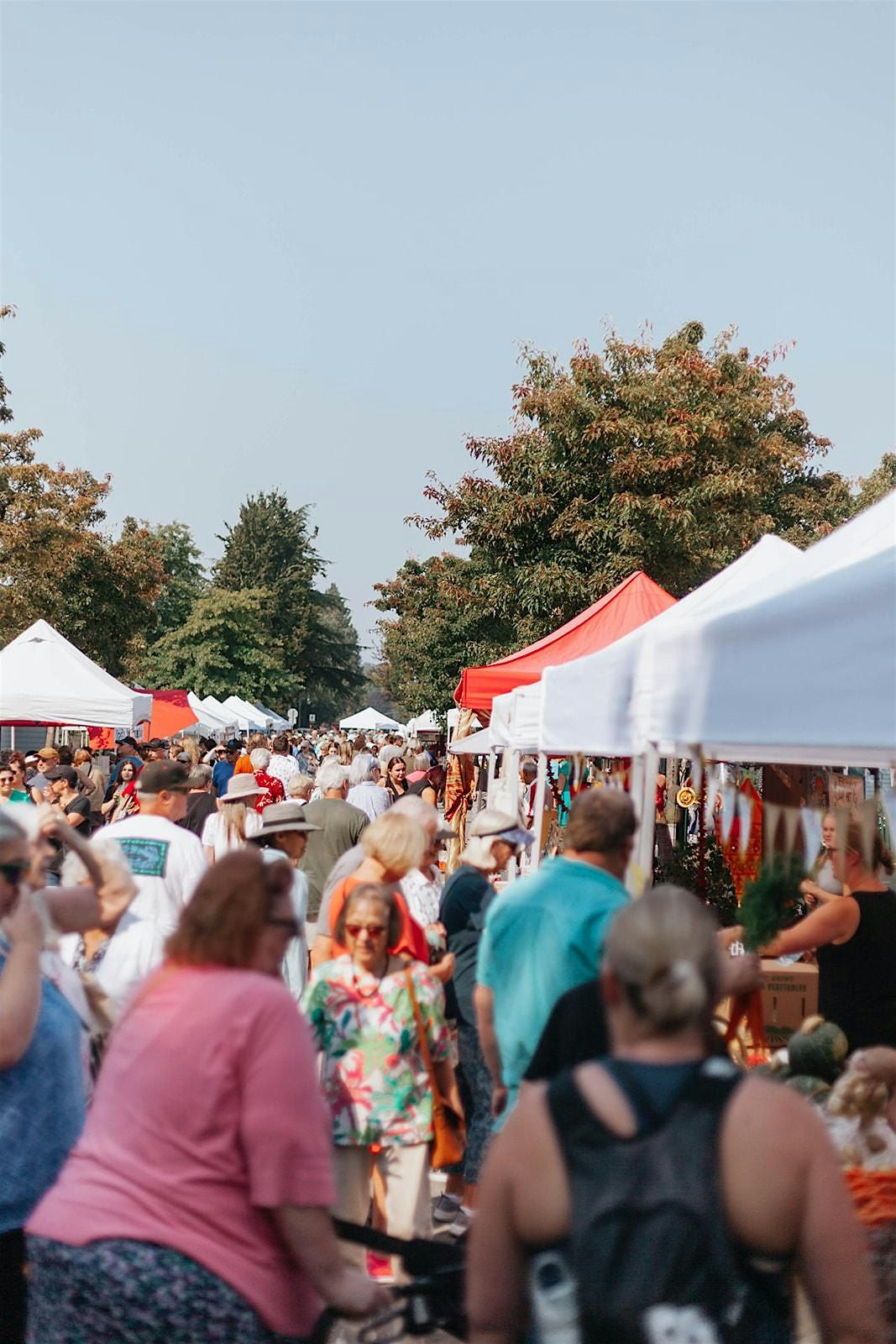 Ladner Village Market, 8 June | Event in Delta | AllEvents
