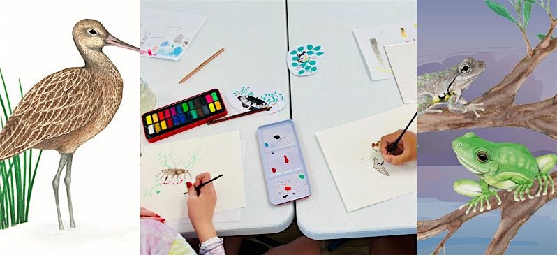 School holiday program: Biodiversity art workshop, 8 October | Event in Bateau Bay | AllEvents