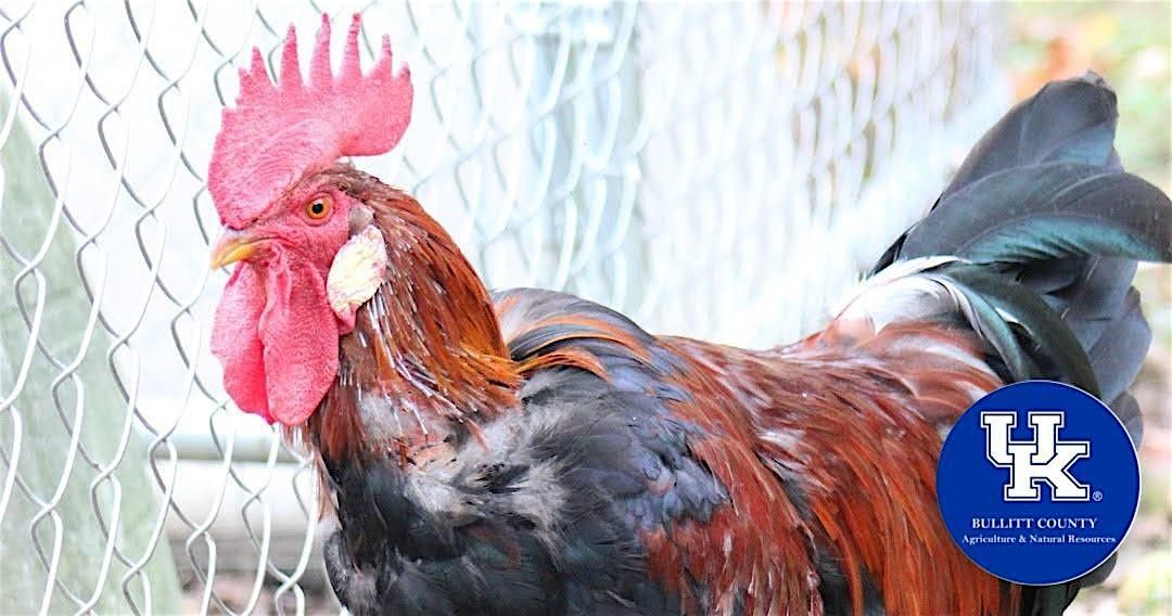 Chickens for Meat and Eggs - A Beginning Producers Series Class, 24 June | Event in Shepherdsville | AllEvents