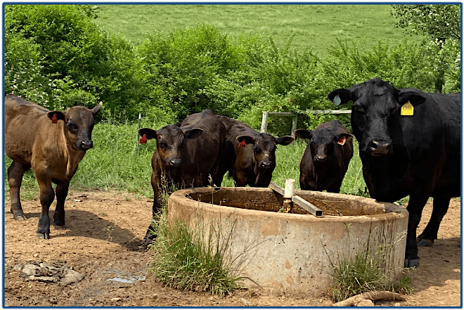 Parasite and Fecal Egg Count Field Day, 23 August | Event in Newland | AllEvents