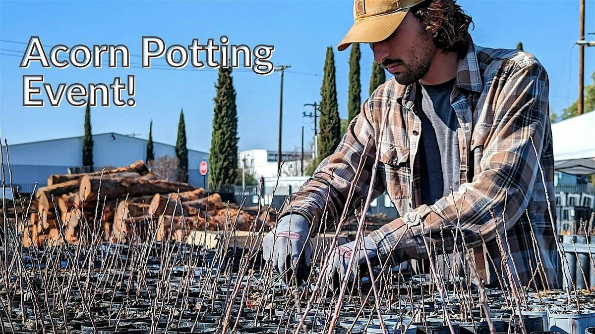 Acorn Potting, 13 December | Event in Sacramento | AllEvents