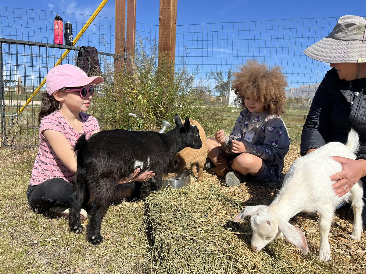 Veterinary Discovery Camp '25, 9 June | Event in Tucson | AllEvents