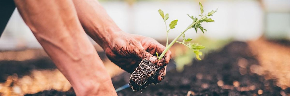 Rôl Partneriaethau Bwyd yng Nghymru/The Role of Food Partnerships in Wales, 18 September | Event in Carmarthen