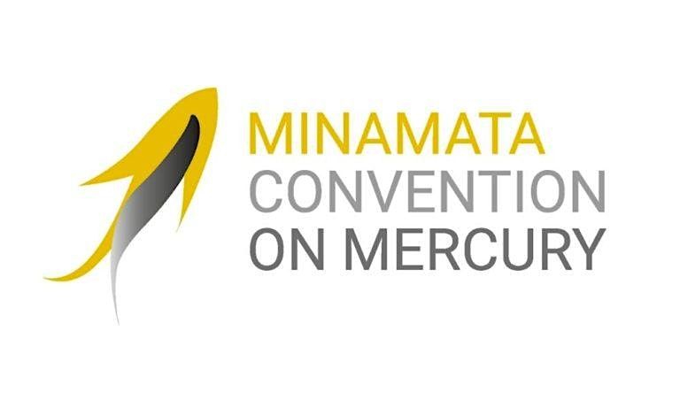 Briefing on Minamata Convention on Mercury COP-6, 2 October | Event in Châtelaine-Geneva | AllEvents