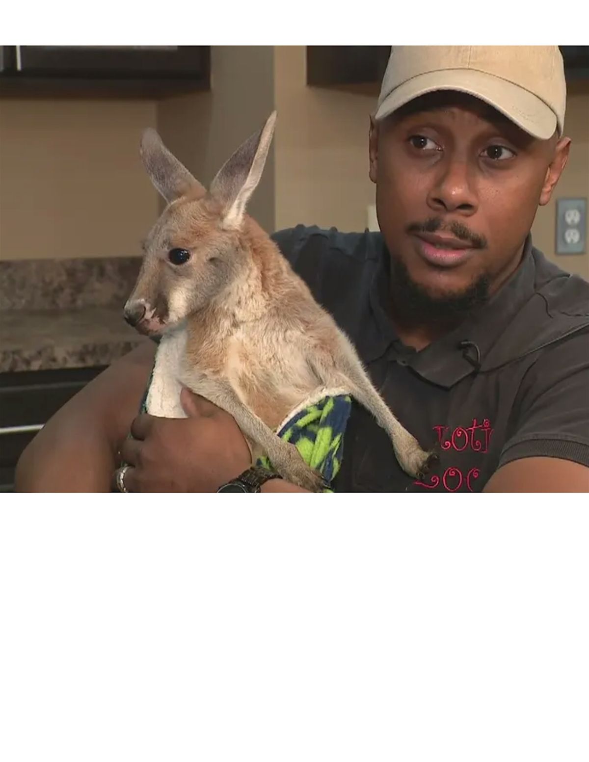 Summer Reading Finale with Exotic Zoo, 31 July | Event in Detroit | AllEvents