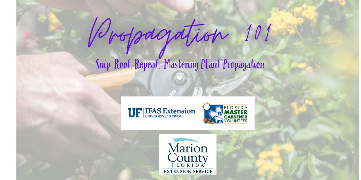 Propagation 101, 3 June | Event in Ocala | AllEvents
