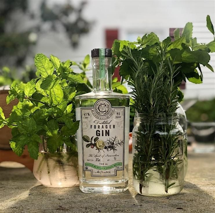 Forage Your Own Gin with McClintock Distilling, 4 October | Event in Jefferson | AllEvents