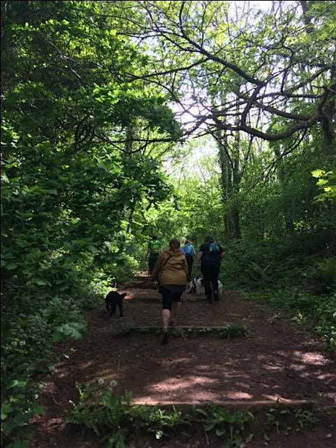 Waggy Walk at Stoke Woods, 4 June | Event in Exeter | AllEvents