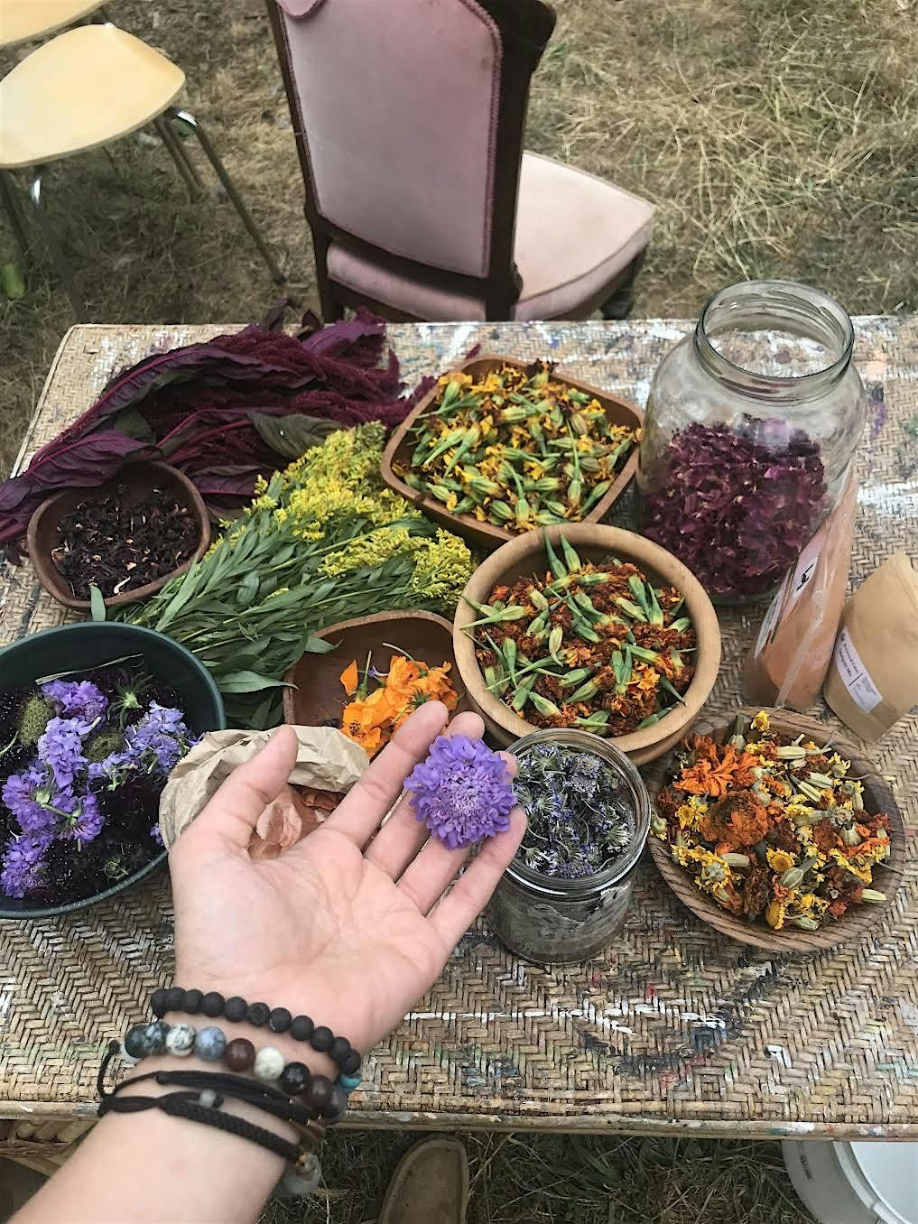 Creating Color with Natural Dyes, 15 June | Event in Friday Harbor | AllEvents