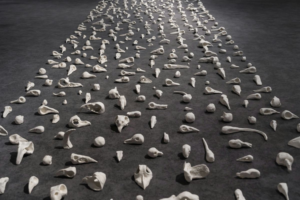 All ages workshop: porcelain clay skulls with Christina Lowry, 6 December | Event in Kingston | AllEvents