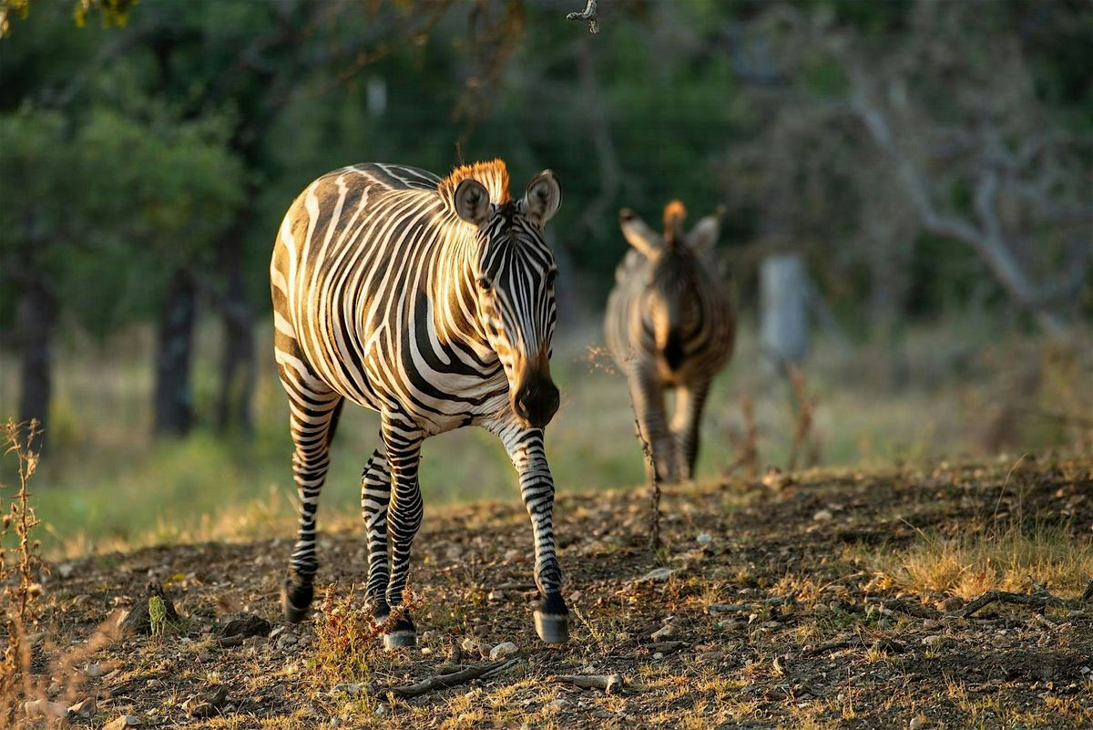 Ranch Hand for a Day: Fredericksburg Exotic Game Farm Experience!, 6 September | Event in Fredericksburg | AllEvents