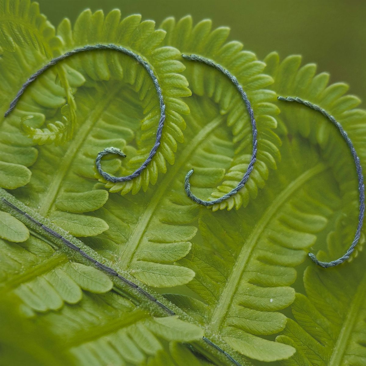 Outdoor Photo Walk with Myrtie Cope, 16 August | Event in Atlanta | AllEvents