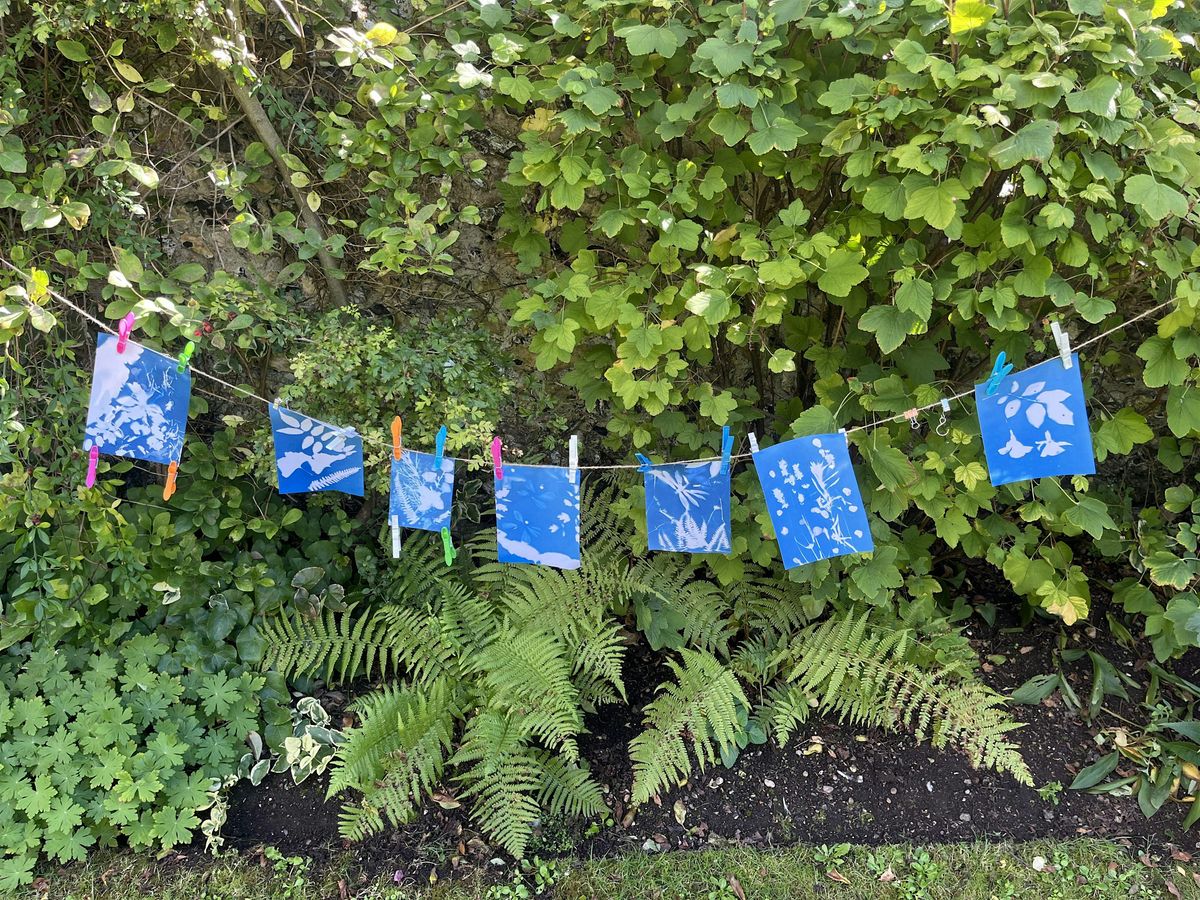 Explore Cyanotype Printing at The Grange, 27 July | Event in Brighton and Hove | AllEvents