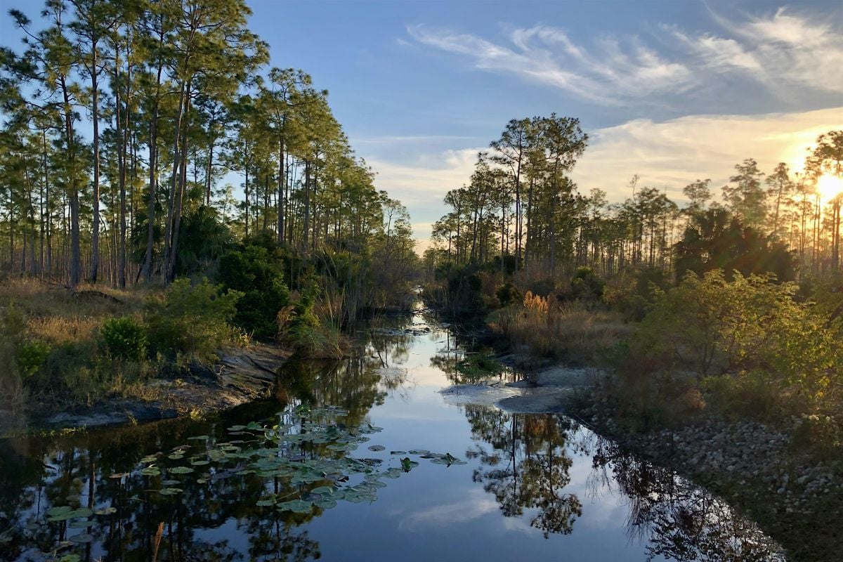 Wet Walk: Advanced, 8 October | Event in Bonita Springs | AllEvents