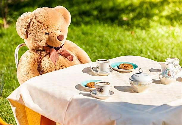 Get Ready for a Teddy Bear Tea Party with Girl Scouts!! | Event in Conowingo | AllEvents