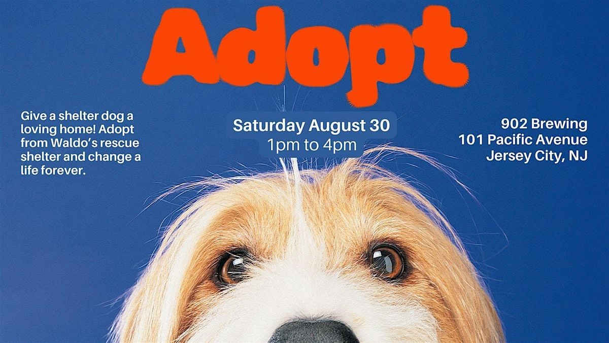 Dog Adoption Day at 902 Brewing Co: Find Your New Best Friend!, 30 August | Event in Jersey City | AllEvents