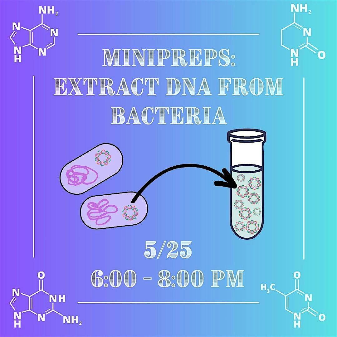 Minipreps: Extract DNA from Bacteria, 25 May | Event in Seattle | AllEvents