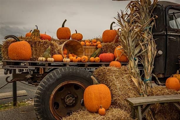 Fields Farm Fest, 18 October | Event in Johns Island | AllEvents